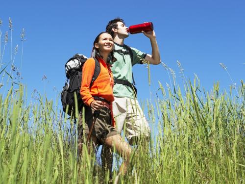 傲视皇朝平台注册：《斛珠夫人》电视剧中缇兰最爱谁 缇兰最后结局是喜是悲<span